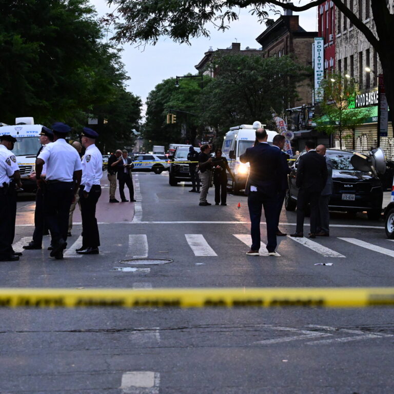 Brooklyn Detective Shot by Friendly Fire in Fourth of July Incident, NYPD Confirms