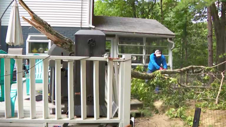 Close Call in Merrimac: Tree Crashes onto Deck During Fourth of July Pool Party