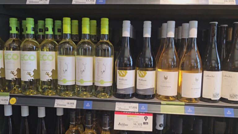 Quebec Wine Sales Climb Even as Alcohol Consumption Broadly Declines
