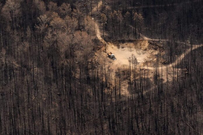 Ontario Wildfires: Cautious Progress as First Nations Demand Public Inquiry