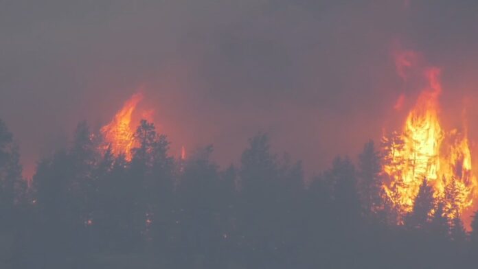 'Everything Was Orange': B.C. Wildfire Forces Evacuations in North Okanagan as Structures Lost