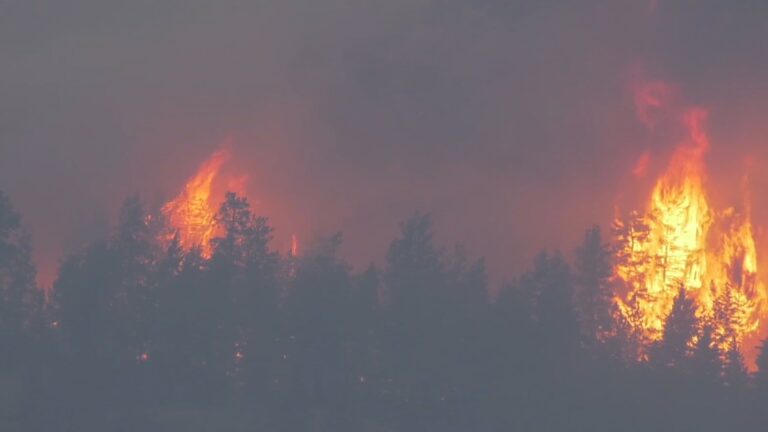 ‘Everything Was Orange’: B.C. Wildfire Forces Evacuations in North Okanagan as Structures Lost