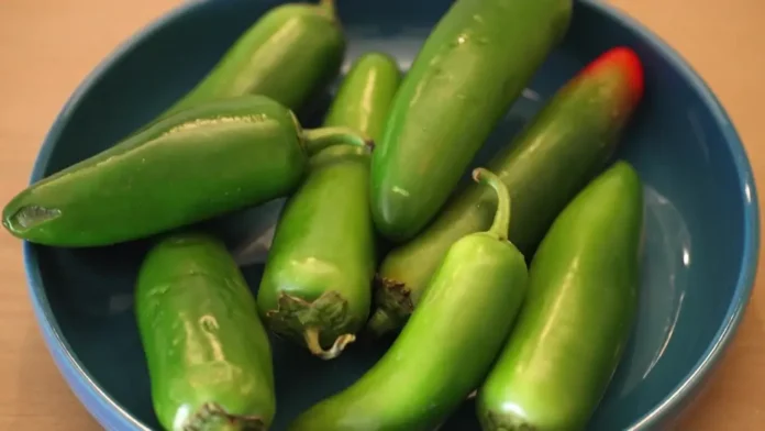 Jalapeño-Linked Salmonella Outbreak Spreads Across 27 U.S. States — What Canadians Need to Know