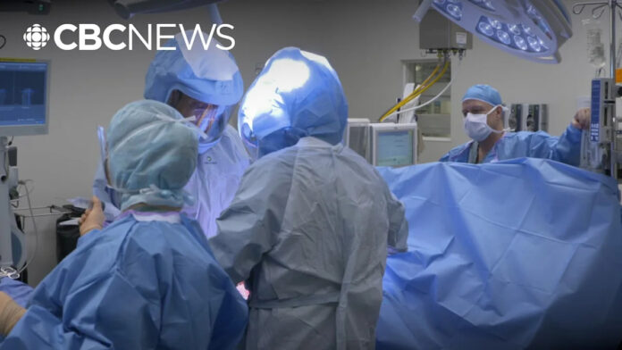 Alberta's Dual-Practice Medicine Experiment: A Faster Queue for Some, or for All?
