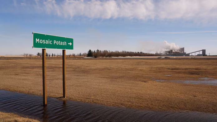 Trump's Belarus Potash Gambit: A Geopolitical Provocation More Than an Economic Strategy